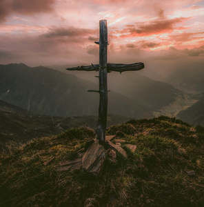 Meet your Posher, Tami